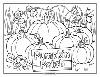 Coloriage de champs de citrouilles pour enfants : Des citrouilles décorées et des lianes feuillues avec un panneau en bois "Pumpkin Patch"