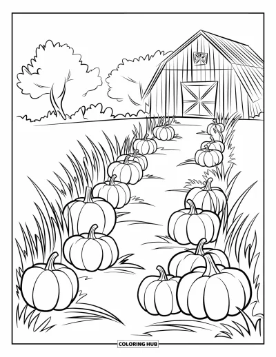Coloriage de champs de citrouilles pour enfants : Des citrouilles bordent un chemin herbeux qui mène à une grange en bois