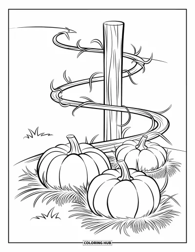 Coloriage de champs de citrouilles pour enfants : Trois citrouilles nichées dans de la paille sous une liane tourbillonnante et un poteau