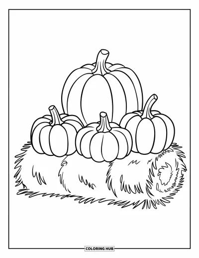 Coloriage de champs de citrouilles pour enfants : Trois citrouilles posées sur une botte de foin avec beaucoup d'espace à colorier