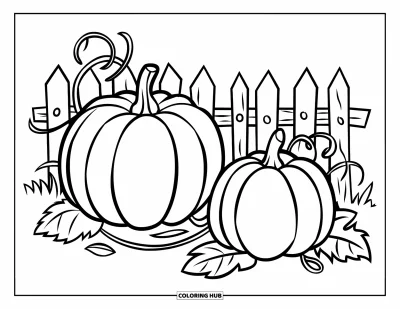 Coloriage de champs de citrouilles pour enfants : Deux grandes citrouilles poussent sur des lianes dans un enclos en bois