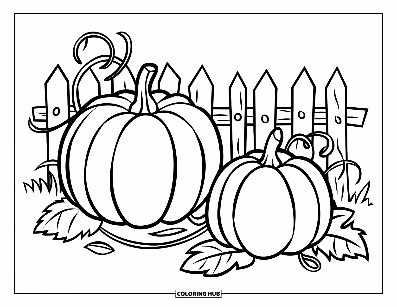 Pumpkin Patch Coloring Page for Kids: Two big pumpkins grow on vines inside a wooden fence