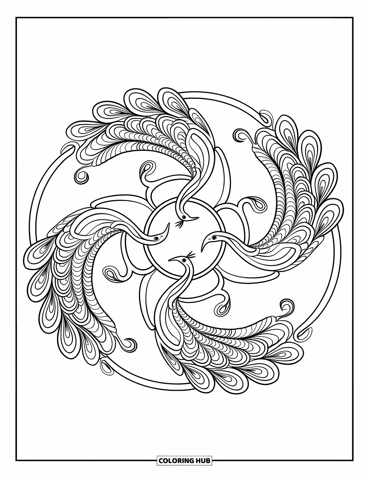 Rangoli Coloring Page for Adults: Four peacocks with curled tails create a circular pattern