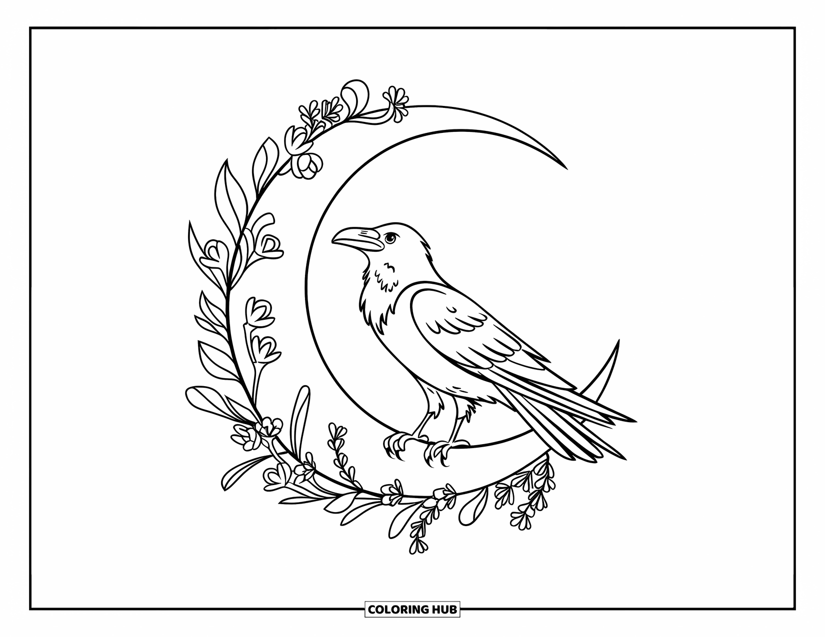 Raven Coloring Page for Adults: A raven perches on a crescent moon wrapped in flowering vines and herbs