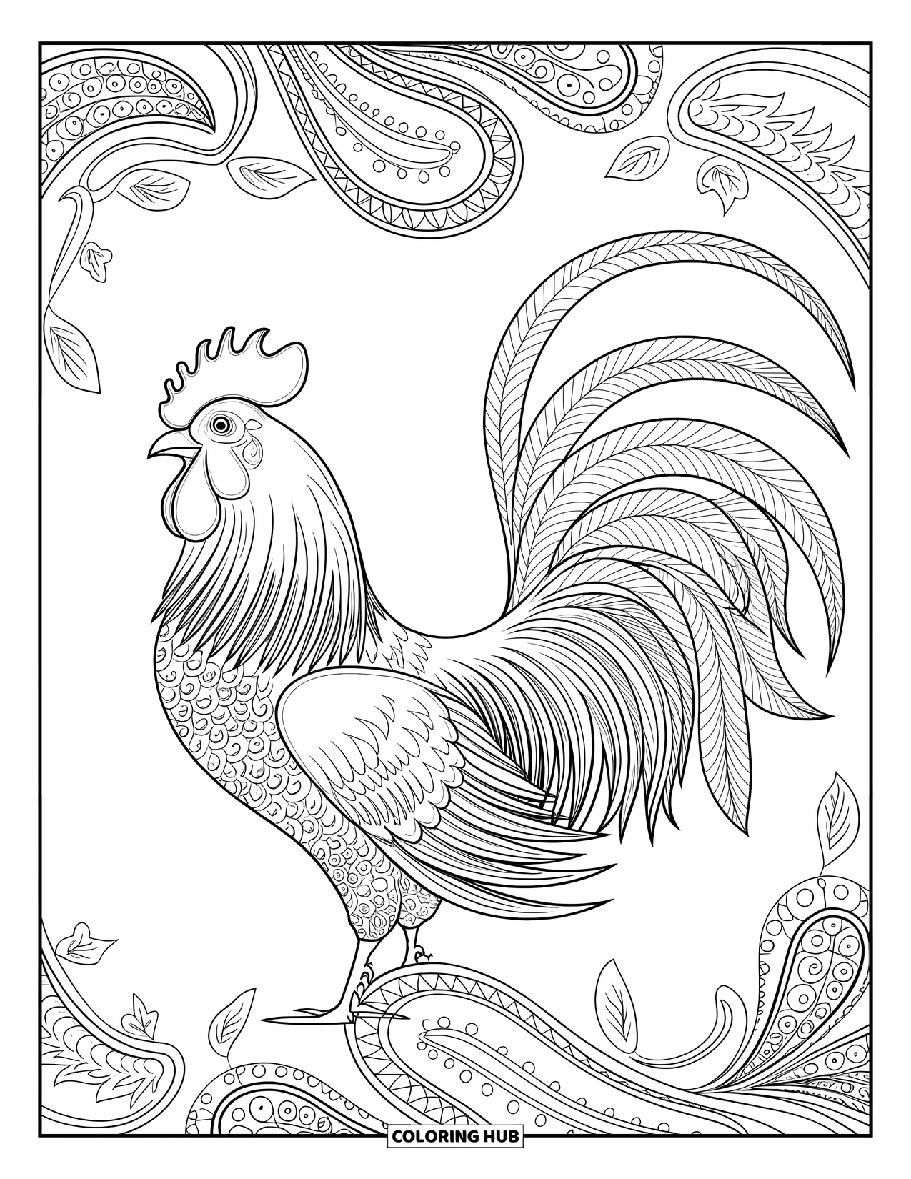 Rooster Coloring Page for Adults: Rooster stands tall as its feathers flow into curling paisley vines