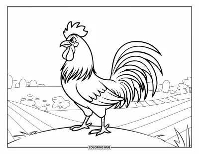 Desenho de galo para colorir para crianças: Um galo orgulhoso em uma colina com as penas da cauda ao vento