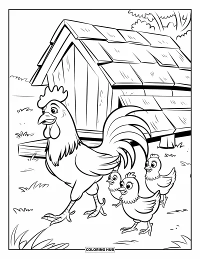 Desenho de galo para colorir para crianças: Um galo conduz pintinhos ao galinheiro em um campo gramado