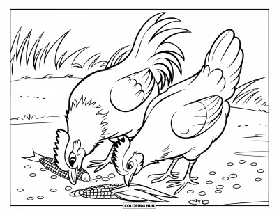 Desenho de galo para colorir para crianças: Galo e galinha comem milho em um campo tranquilo