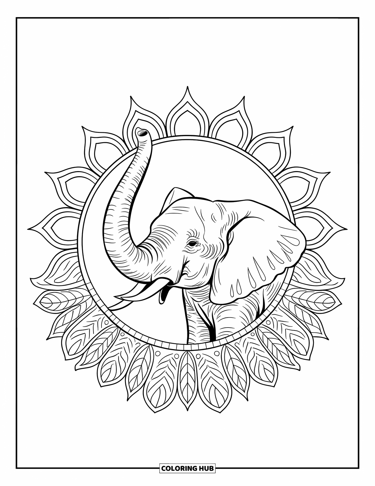 Safari Coloring Page for Adults: An elephant with a lifted trunk stands in a circle of acacia leaves and petals