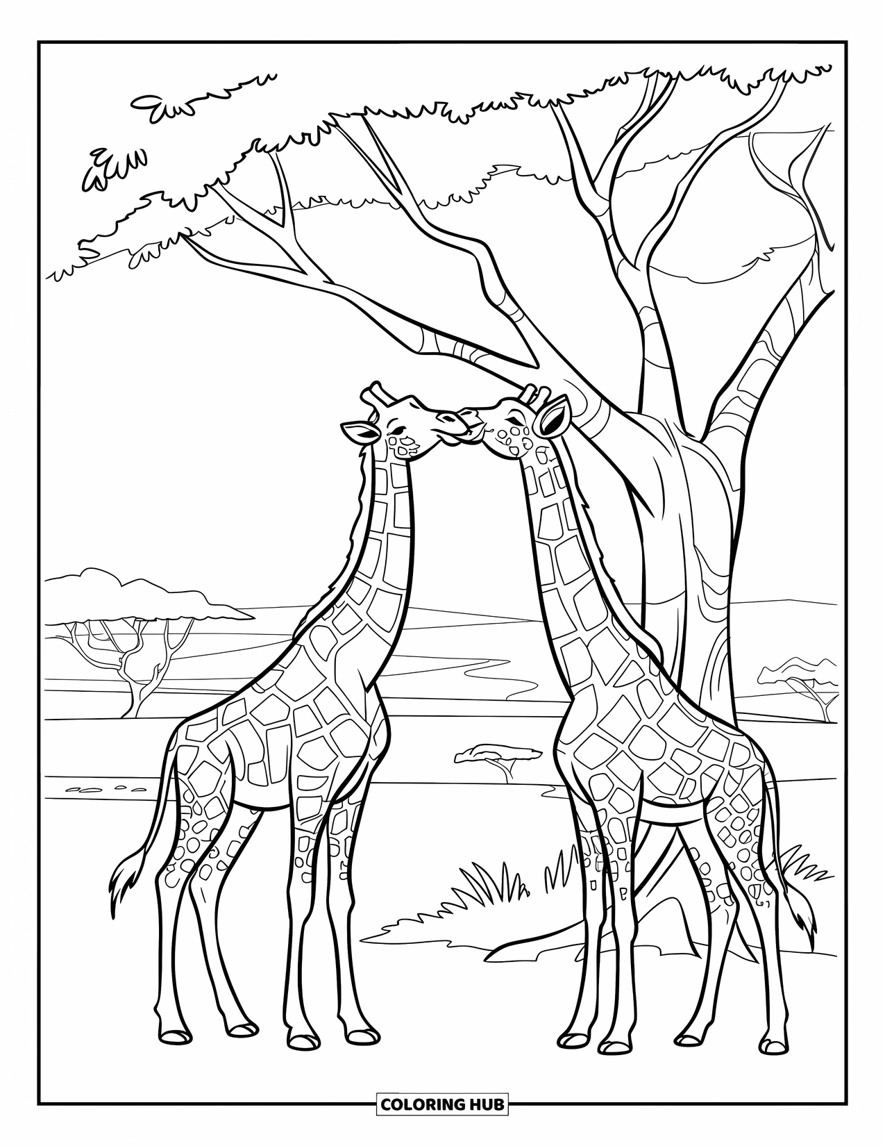Safari Coloring Page for Kids: Giraffes eat from a tall tree in a wide, open field