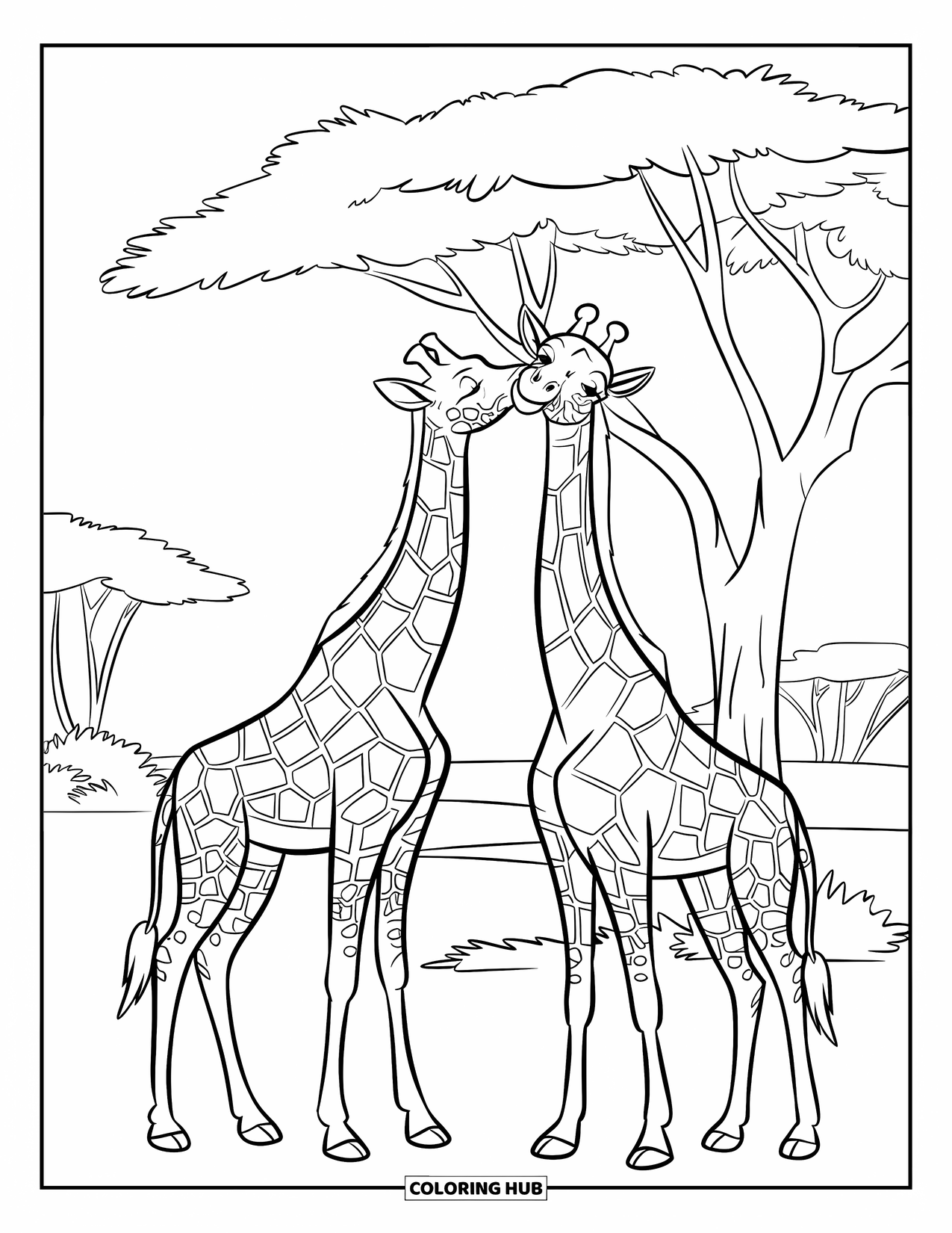 Safari Coloring Page for Kids: Two giraffes snack from a leafy tree in a quiet savannah