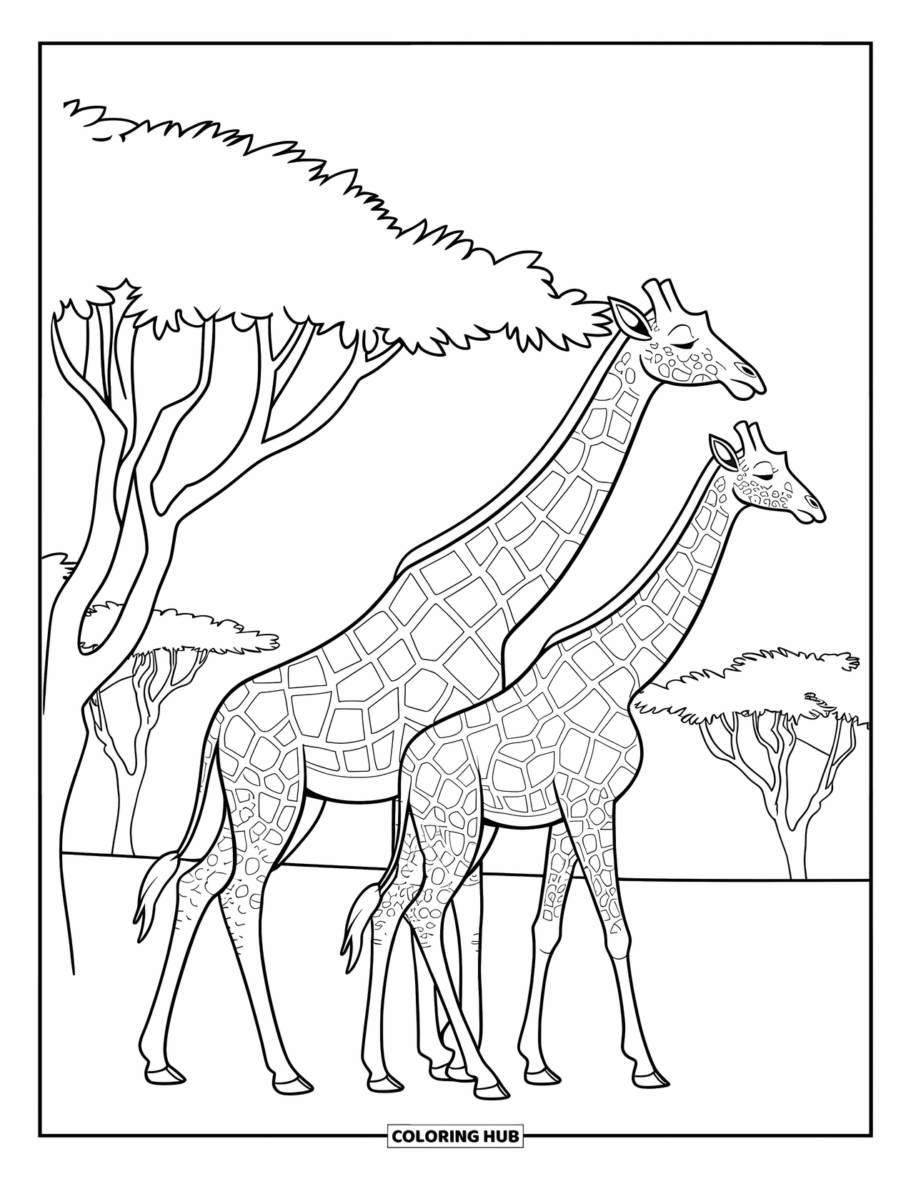 Safari Coloring Page for Kids: Two giraffes walk together beneath scattered acacia trees