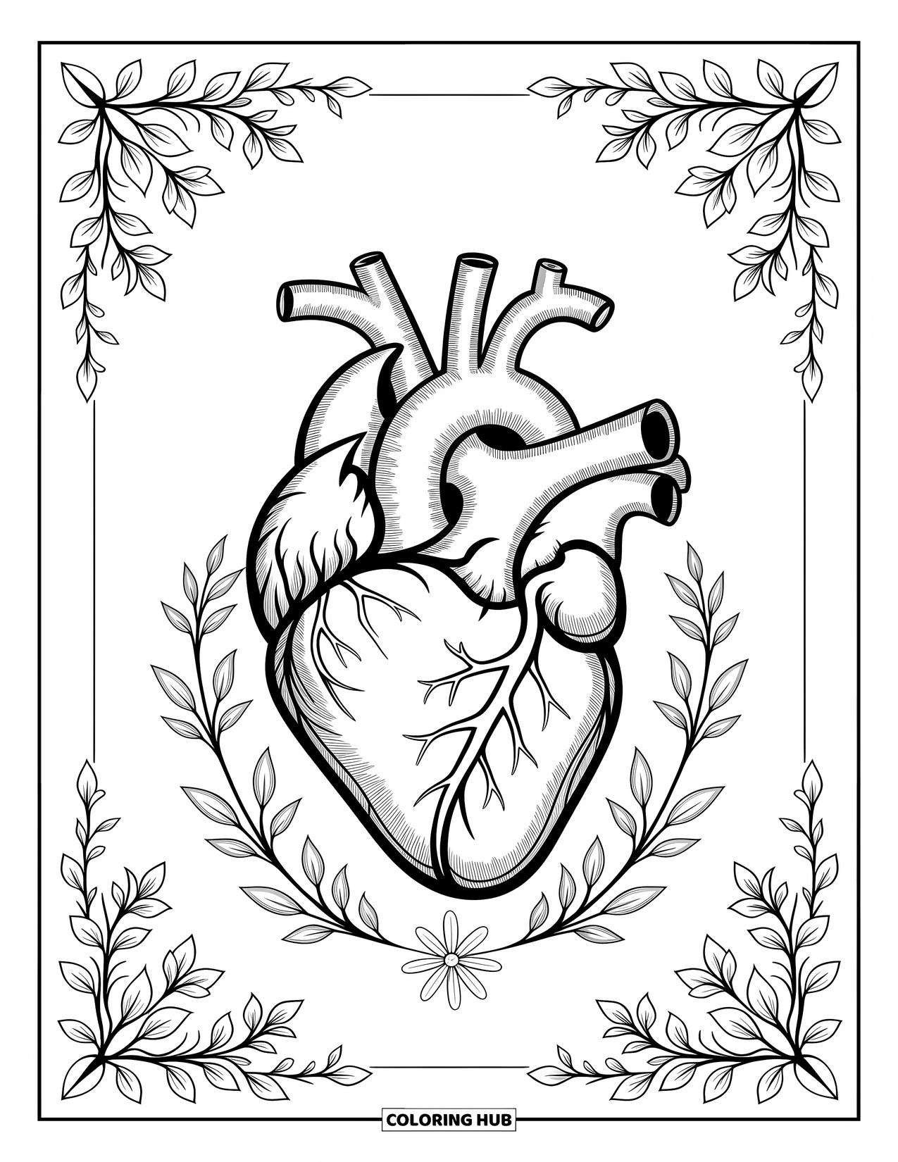 Science Coloring Page for Adults: Anatomical heart wrapped in floral vines with gentle detail and labeled chambers