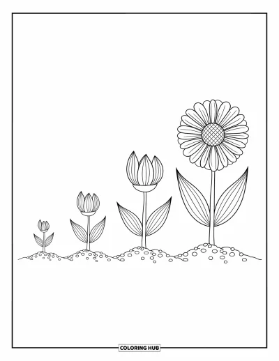 Science Coloring Page for Kids: A plant evolves step by step, each stage more alive than the last