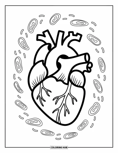 Science Coloring Page for Kids: Heart diagram shows veins and arteries with dancing cartoon blood cells around it