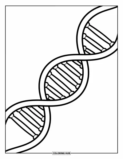 Science Coloring Page for Kids: Loopy DNA strand twists playfully across the page with big, easy shapes