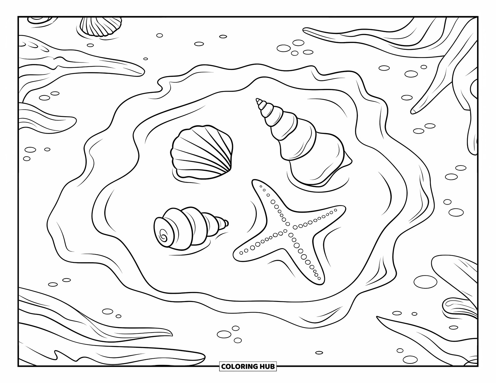 Seashell Coloring Page for Kids: Three shells and a starfish rest in a tide pool by rocks