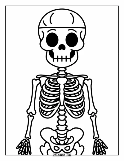 Coloriage de squelette pour enfants : Un squelette humain simplifié avec chaque os clairement séparé pour un coloriage facile
