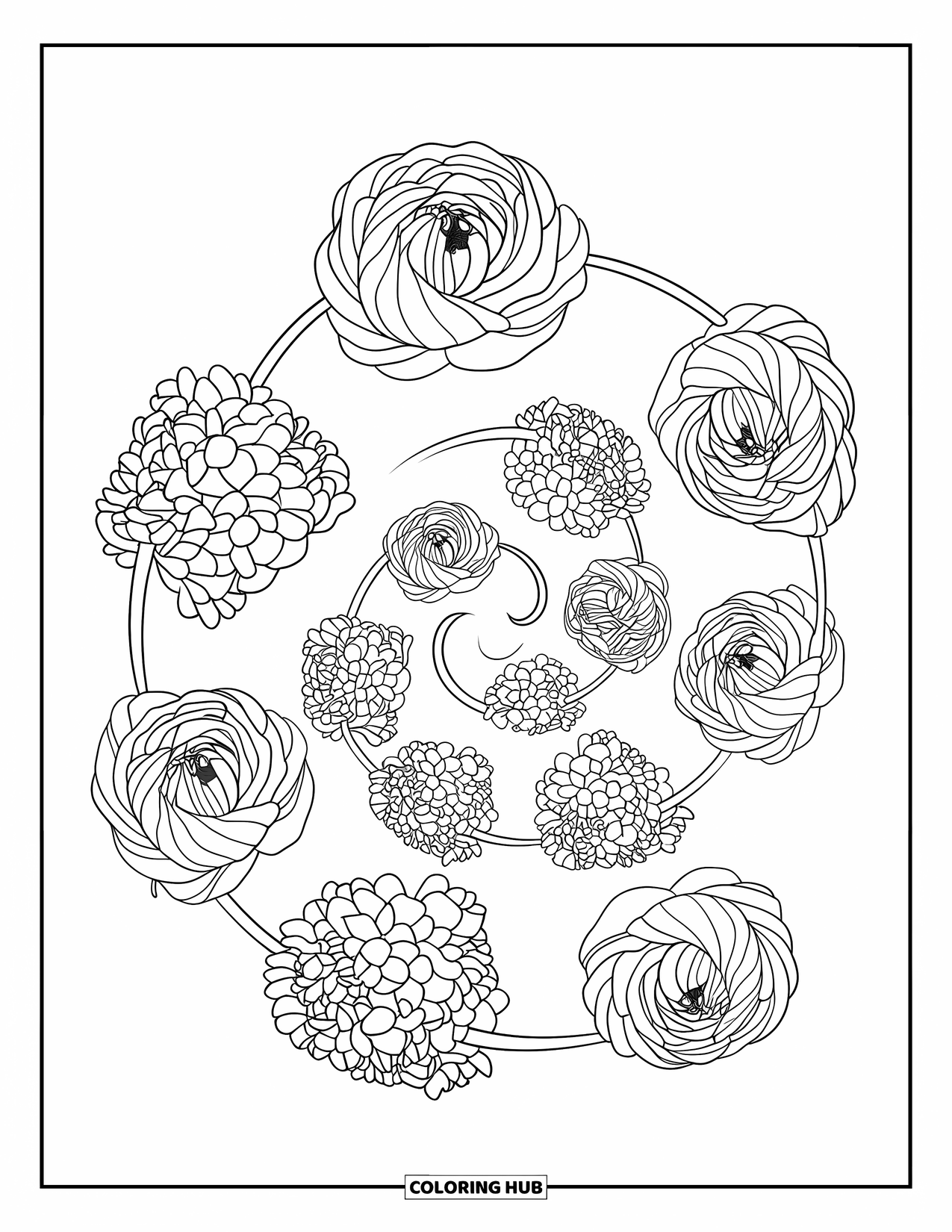Spring Flowers Coloring Page for Adults: Ranunculus and hydrangeas spiral in a graceful floral swirl