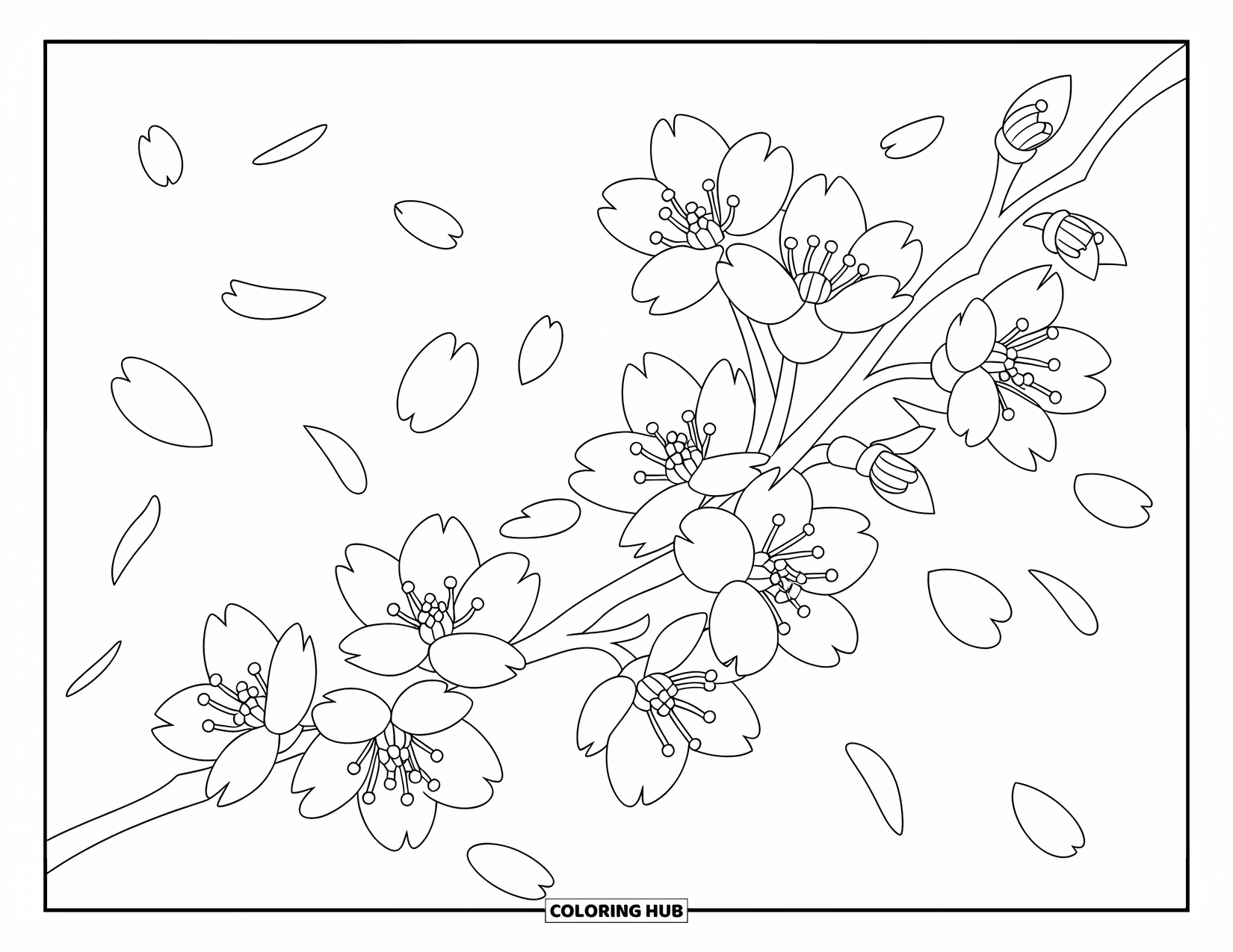 Spring Flowers Coloring Page for Kids: A cherry blossom branch with petals drifts gently on a clean background
