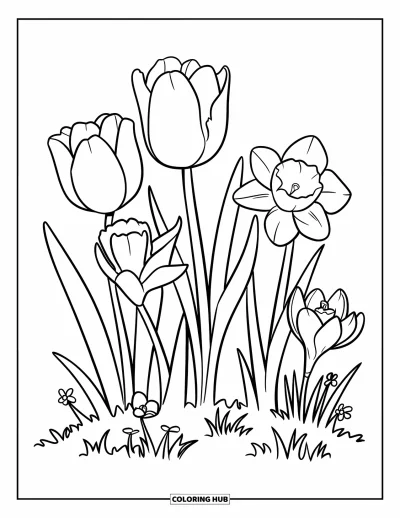 Spring Flowers Coloring Page for Kids: Bright tulips and daffodils bloom beside a crocus in a grassy garden