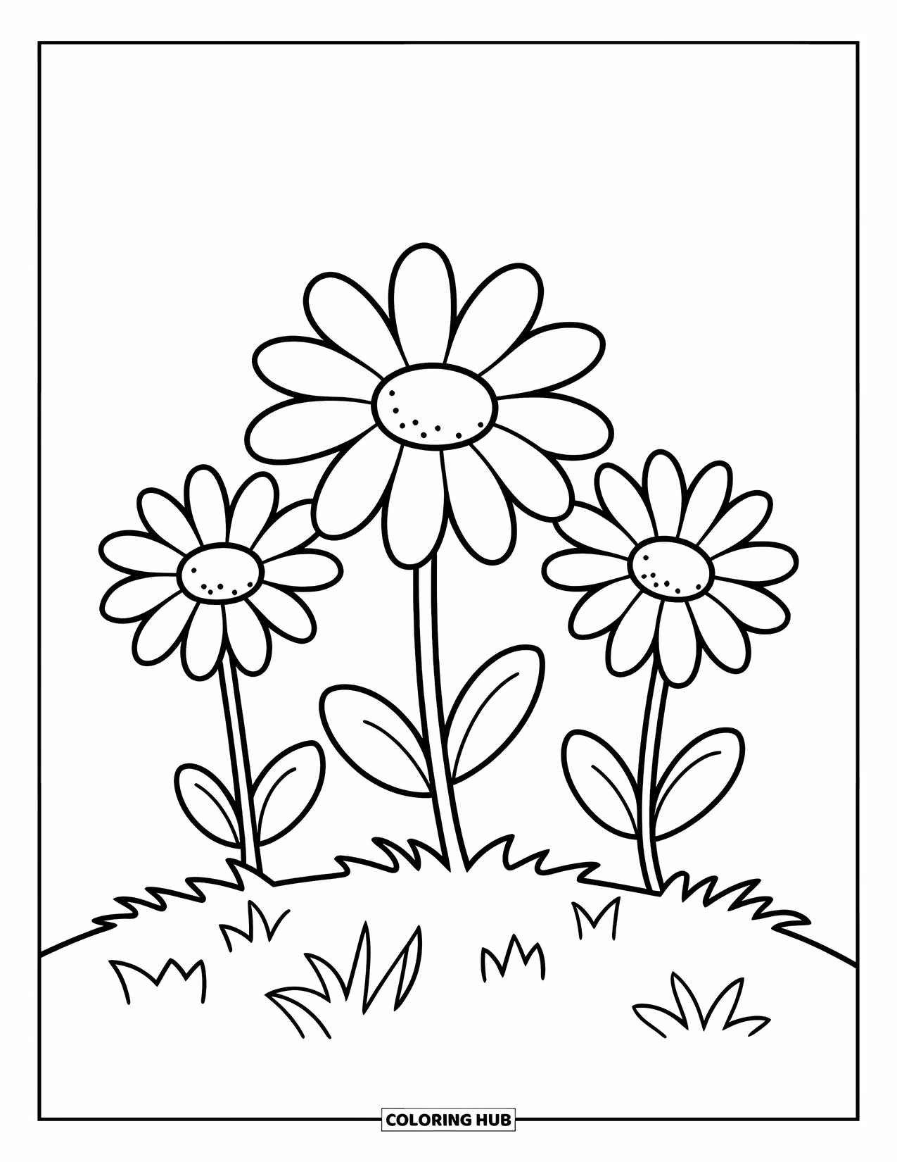 Spring Flowers Coloring Page for Kids: Three daisies bloom on a grassy hill with simple, bold outlines