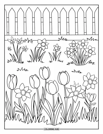 Spring Flowers Coloring Page for Kids: Tulips, daffodils, and crocuses bloom in neat rows beside a fence