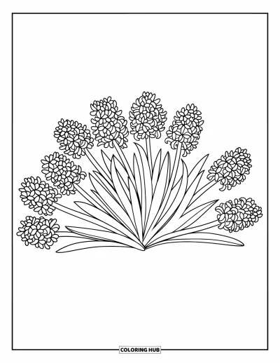 Spring Flowers Coloring Page for Kids: Twelve blooming hyacinths stand tall in a clean, simple fan display