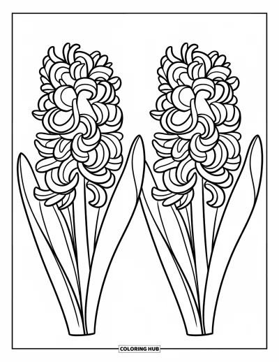 Spring Flowers Coloring Page for Kids: Two hyacinths with big blooms and curved stems bring a cheerful vibe