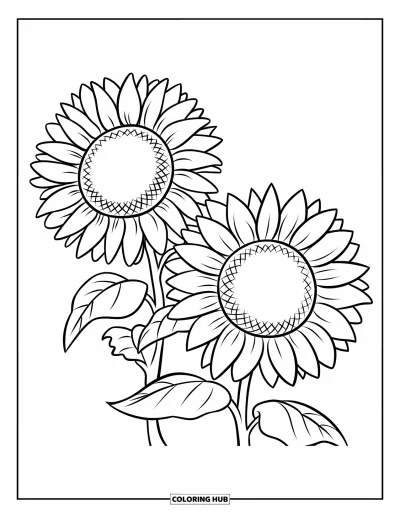 Spring Flowers Coloring Page for Kids: Two large sunflowers with big centers shine on a clean white page