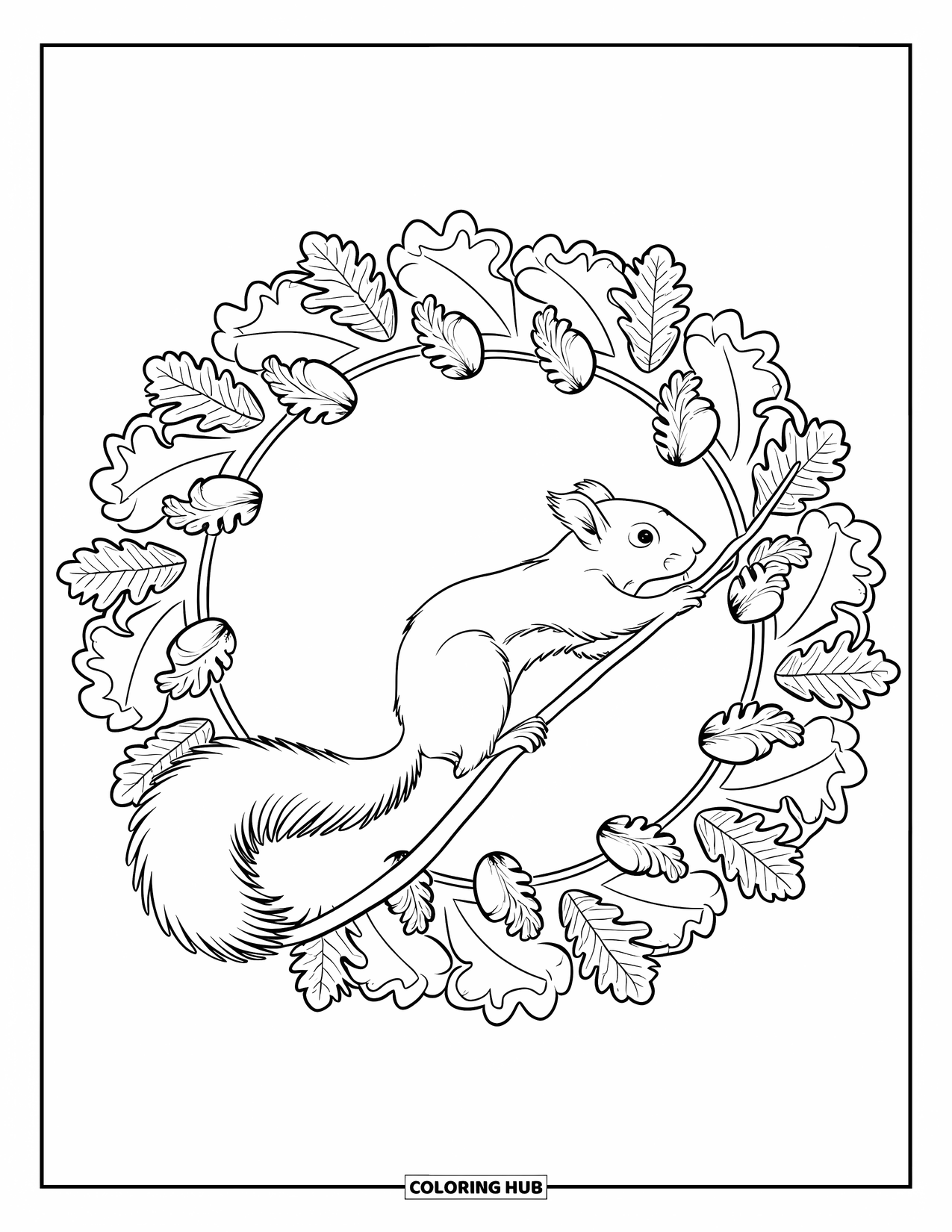 80+ Squirrel Coloring Pages for Kids & Adults (Free Printable PDFs)
