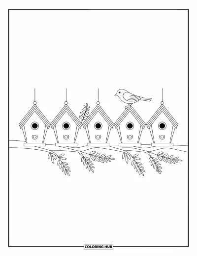 Coloriage anti-stress pour enfants : Des nichoirs reposent sur une branche, chacun avec son petit charme unique