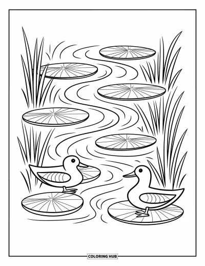 Coloriage anti-stress pour enfants : Des canards flottent sur un ruisseau entouré de nénuphars