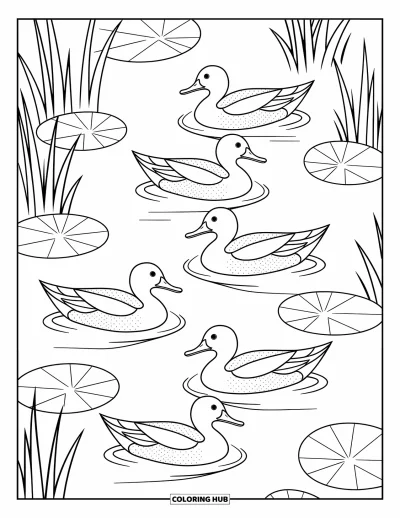 Coloriage anti-stress pour enfants : De gracieux canards nagent entre les nénuphars d'un ruisseau calme