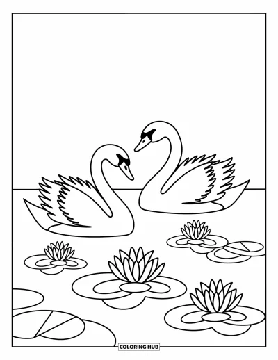 Coloriage anti-stress pour enfants : De gracieux cygnes dérivent sur un étang calme rempli de lys