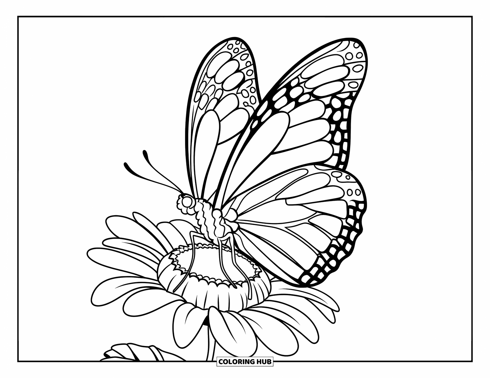 Tattoo Coloring Page for Kids: A butterfly with lovely wings perched on a flower
