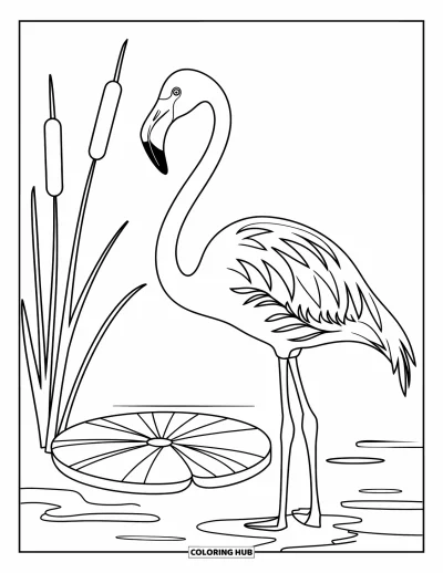 Coloriage tropical pour enfants : Un flamant rose sur une patte près d'un nénuphar et de grands joncs