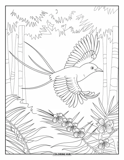 Coloriage tropical pour enfants : Un oiseau de jungle en plein vol au-dessus de feuilles de palmier et d'arbres en fleur