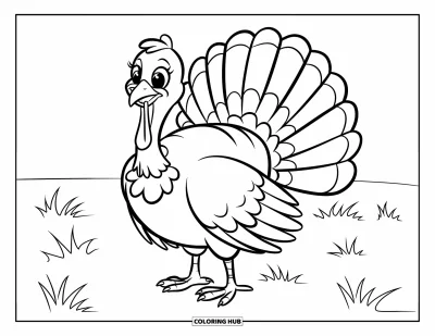 Coloriage de dindes pour enfants : Une dinde souriante se tient fièrement dans un champ herbeux