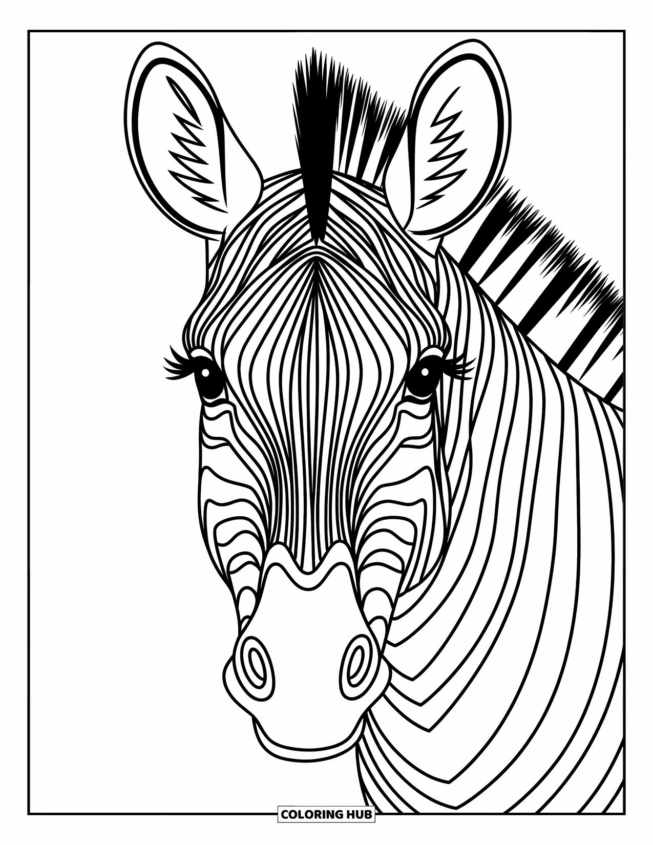 Zebra Coloring Page for Kids: Peaceful zebra gaze with expressive lines and detailed features