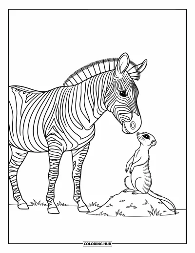 Zebramålarbild för barn: Zebra och surikat möts på en kulle och delar ett tyst, roligt ögonblick