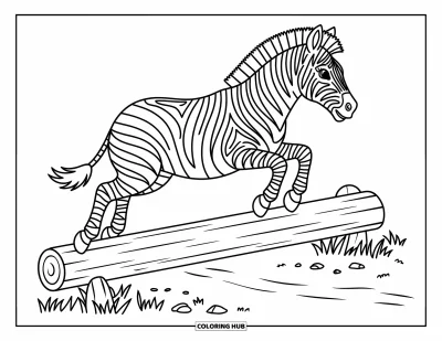Zebramålarbild för barn: Zebra hoppar över en stock på en stig omströdd med löv och små stenar