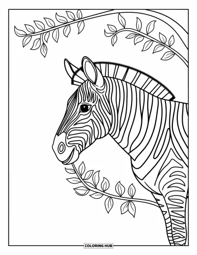 Zebramålarbild för barn: En zebra tuggar löv från en låg gren med ett glatt uttryck