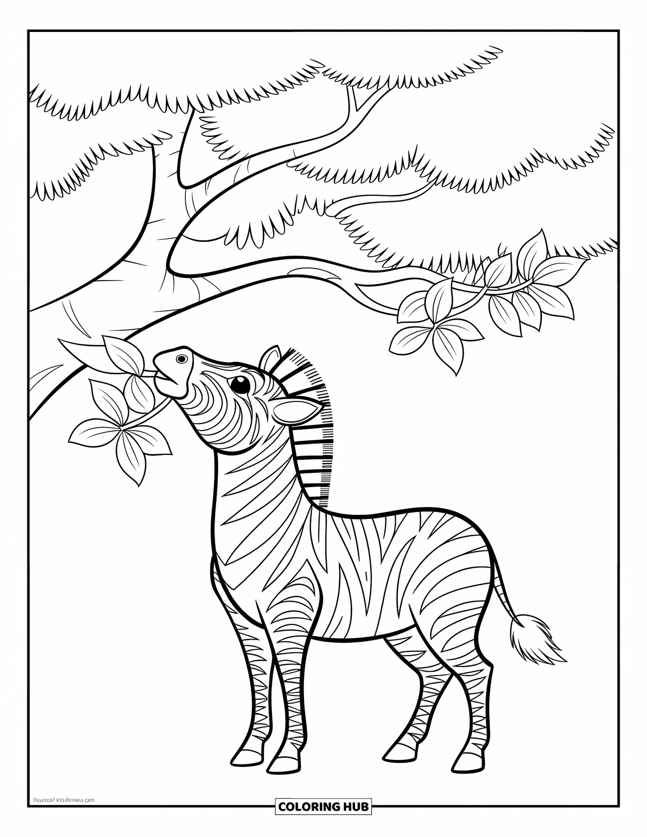 Zebra Coloring Page for Kids: Zebra reaches up to eat leaves from a tree with a smile