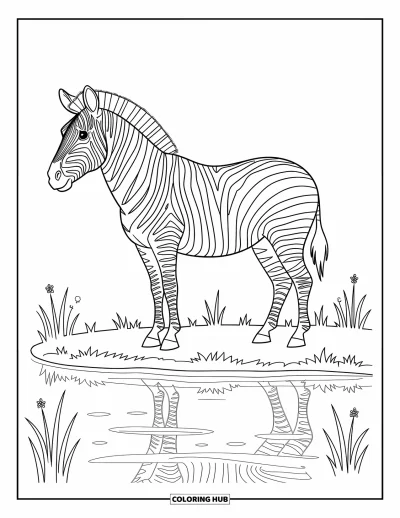 Zebramålarbild för barn: Zebra står stilla vid en damm och spegelbilden av ränderna skimrar i det lugna vattnet
