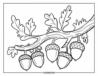 Coloriage de gland pour enfants : Une branche courbée porte des glands suspendus et de la mousse douce dans une forêt paisible