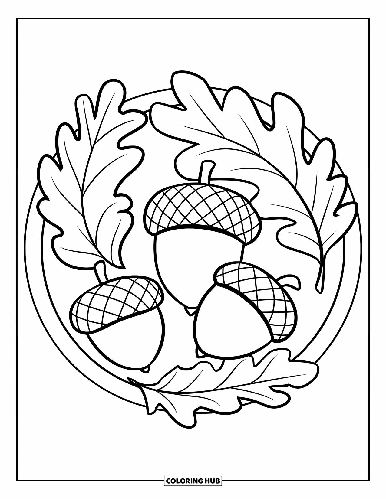 Acorn Coloring Page for Kids: A large acorn and two smaller ones form a circle with wavy oak leaves