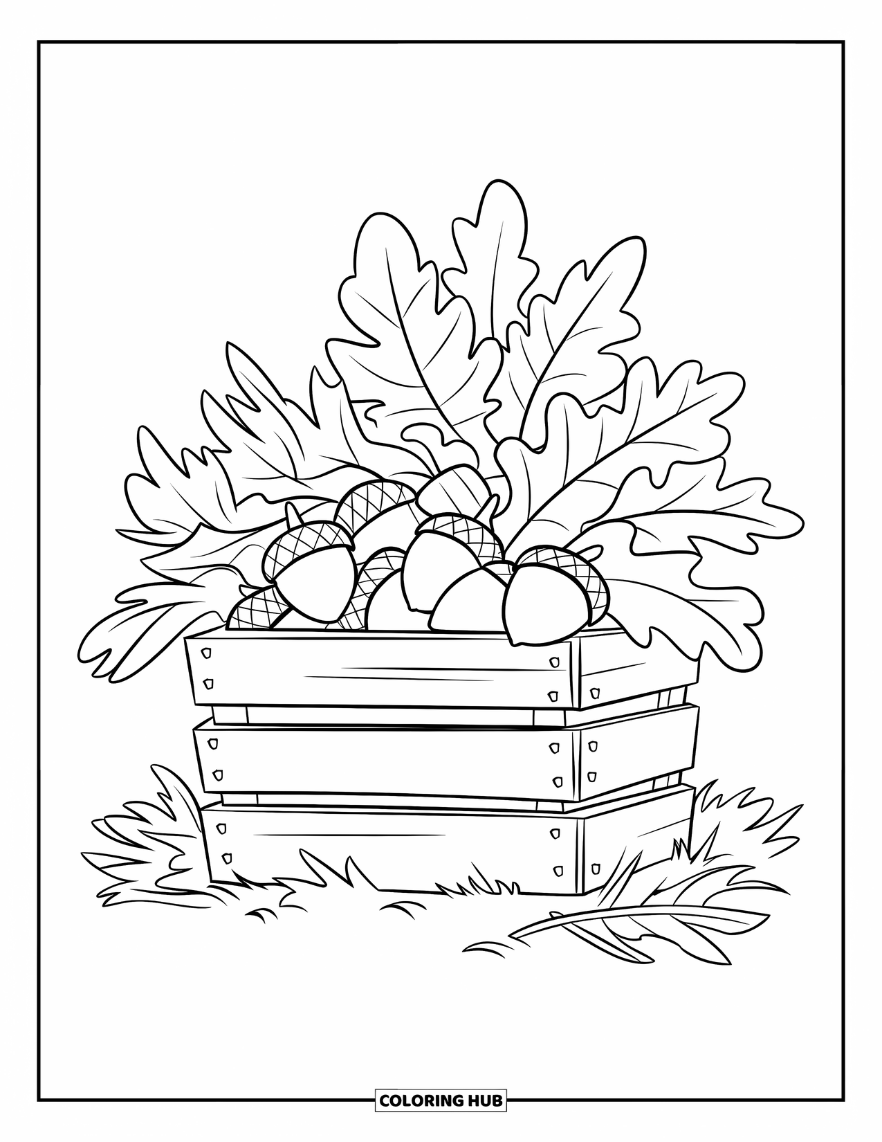 Acorn Coloring Page for Kids: A wooden crate overflows with acorns and leaves, resting on soft forest ground