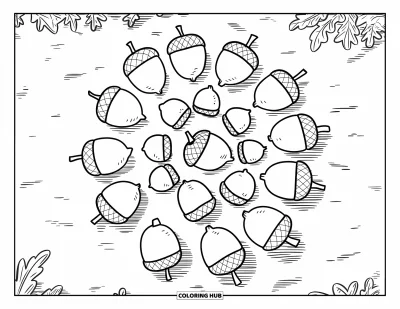 Coloriage de gland pour enfants : Des glands forment un motif en spirale sur le sol de la forêt avec des contours vifs et joueurs