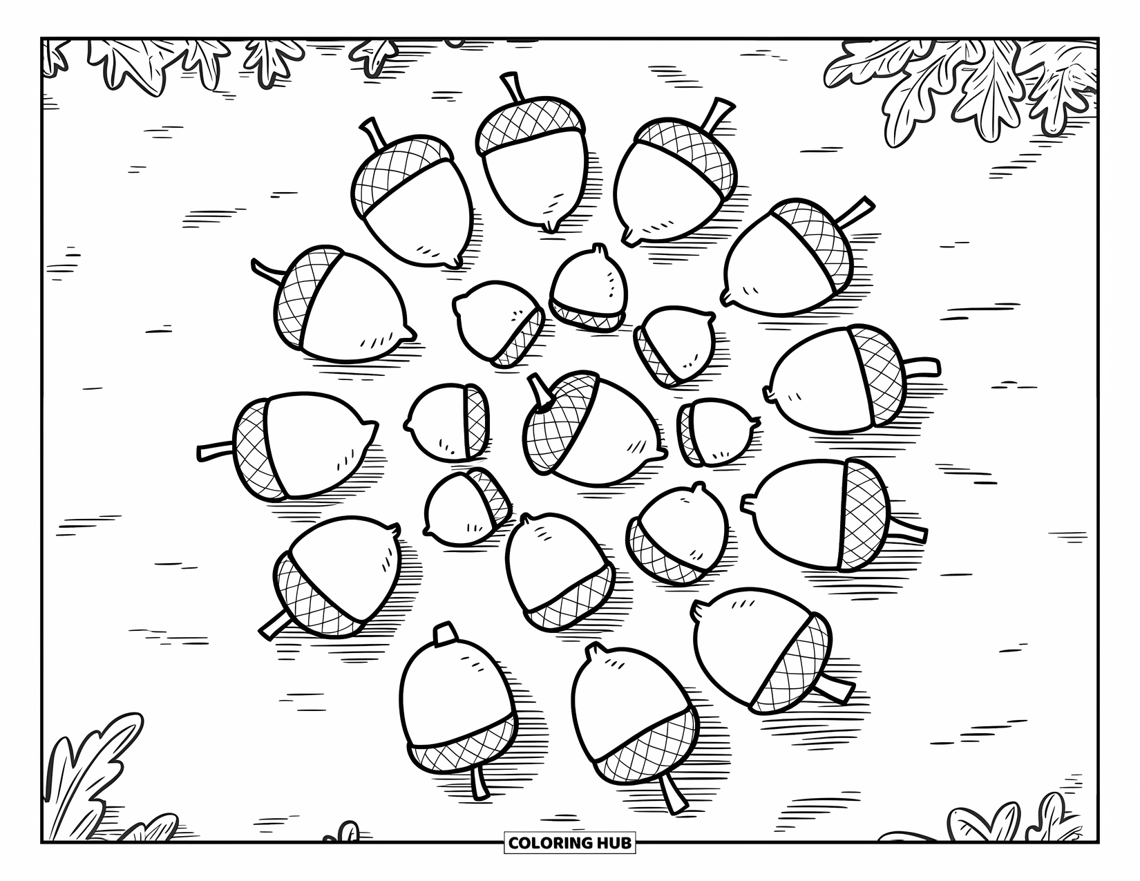 Acorn Coloring Page for Kids: Acorns form a spiral pattern on the forest ground with bold, playful outlines